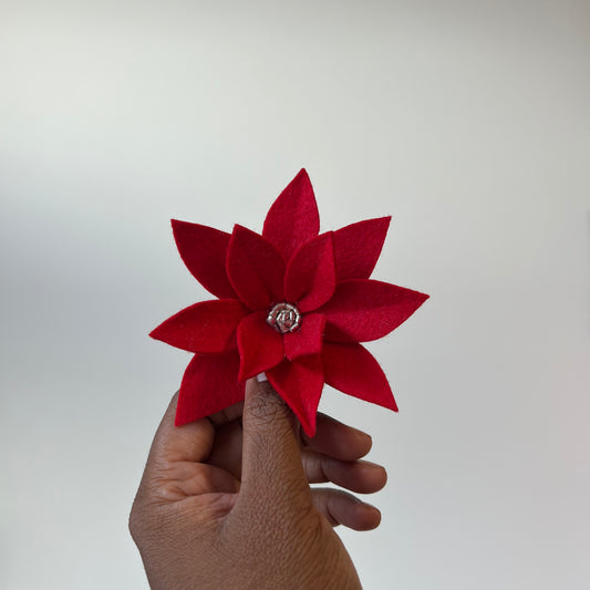 small red poinsettia